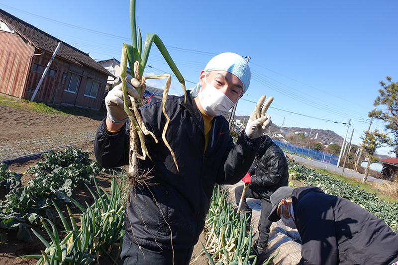 農耕班　作業のようす