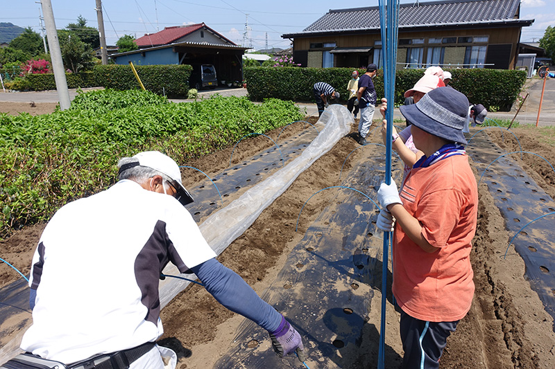 農耕班　作業のようす